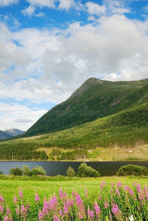 Green mountain above the fjord.