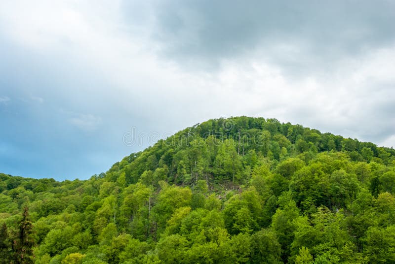 Green mountain on a background cloudy sky. Green hill. Mountain forest green.