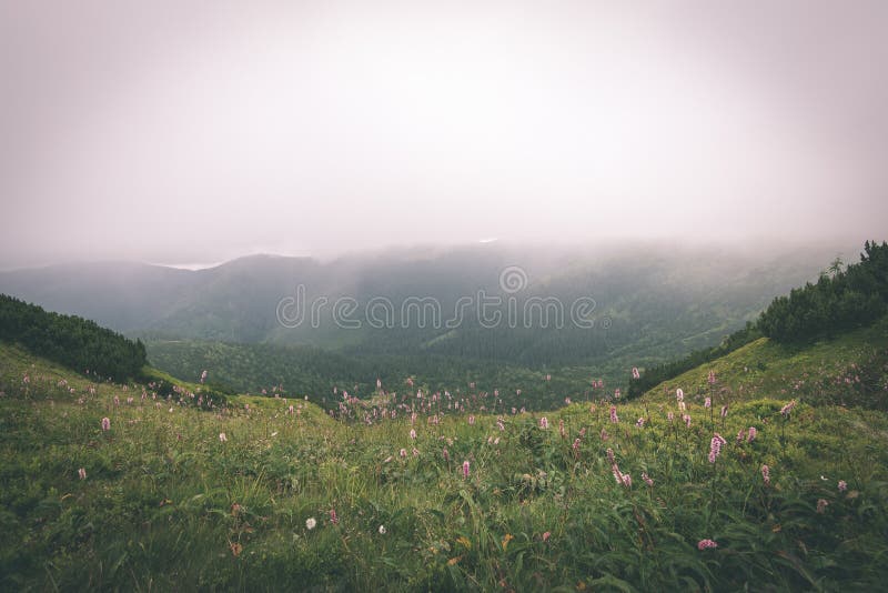 Green mountain landscape covered with clouds - vintage film effe