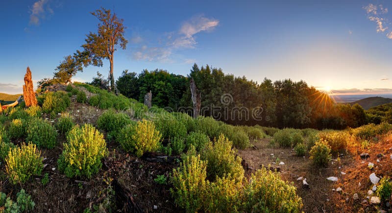 Green mountain landscape with sun  - panorama, Slovakia