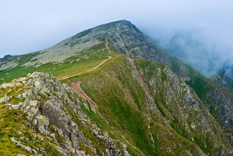 Green mountains in a mist