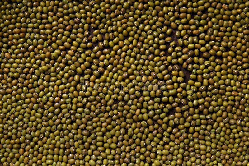 Green mung beans background royalty free stock photos