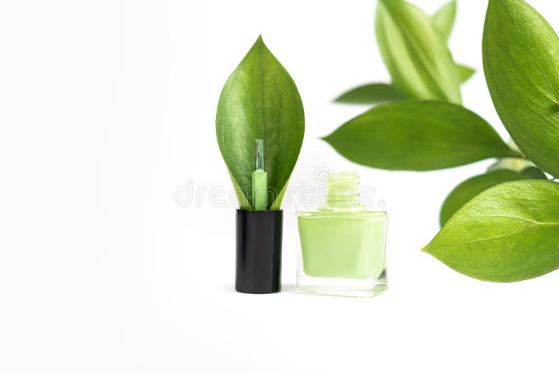 Green nail polish bottle on white background. Green nail polish brush with green leaf. Eco nail design