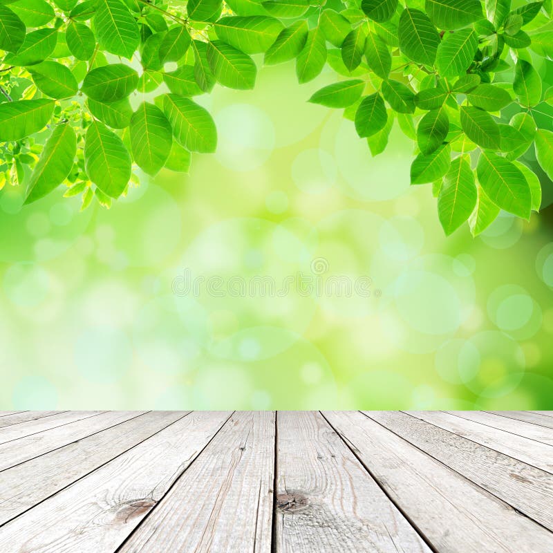 Green Natural Abstract Background Stock Image - Image of 