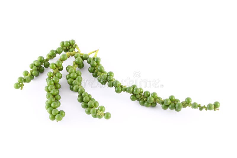 Green peppercorns stock image. Image of nature, food 39899911
