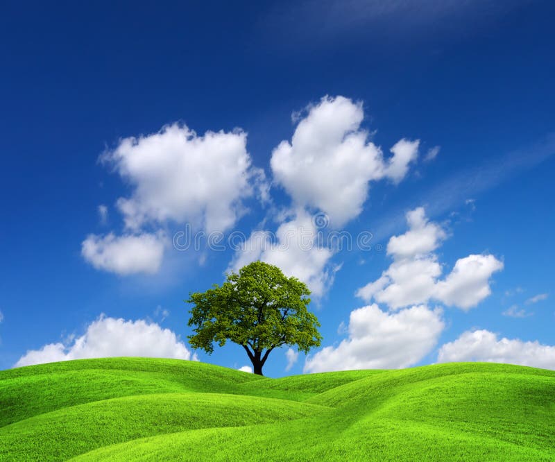 Green nature stock image. Image of cloud, country, background 13752499