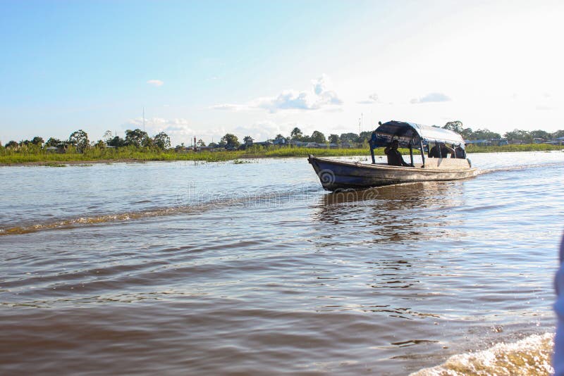 Green nature of amazon river from the boat sie of view in Leticia, Colombia