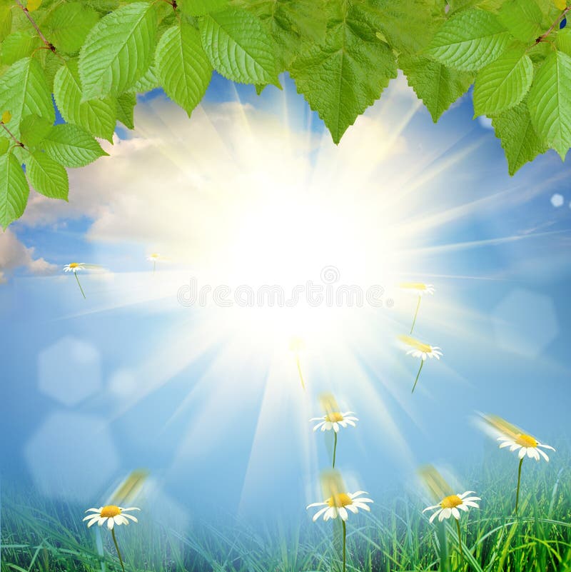 Green nature background stock photo. Image of easter - 28981666