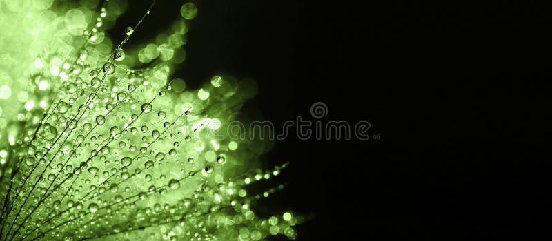 Green nature banner