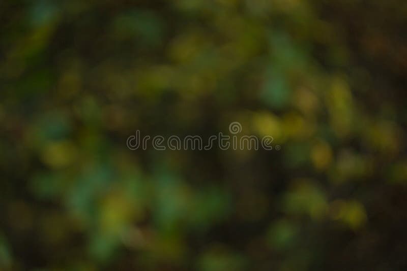 Green Nature Blur Background, Abstract Green Background Stock Image - Image  of blur, green: 162430649