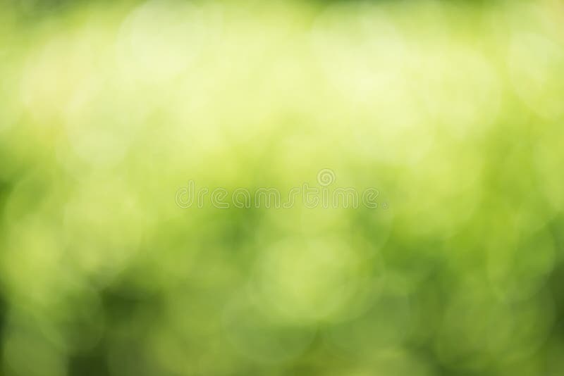 Green Nature Blur Background Stock Photo - Image of bokeh, blur: 81662810