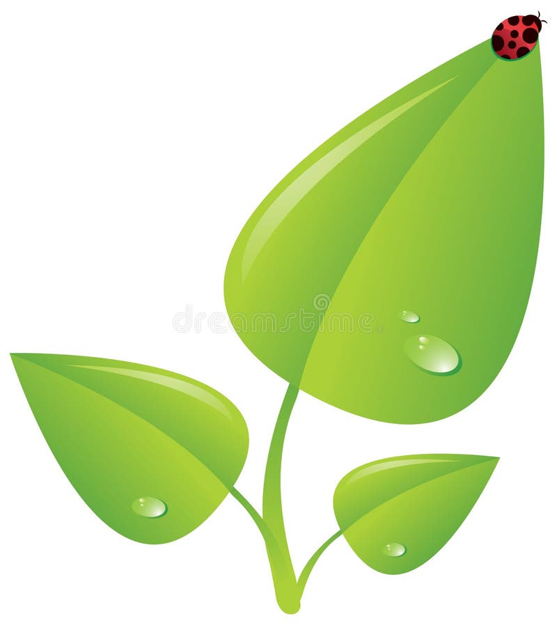 green nyckelpigaväxten royaltyfri illustrationer green nyckelpigaväxten royaltyfri illustrationer