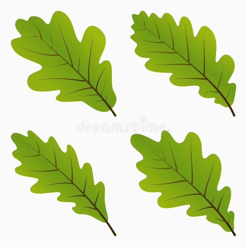 Oak Leaves Clip Art