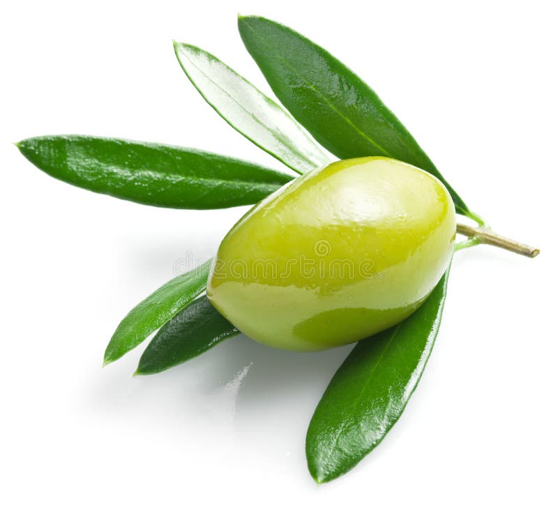 Green olive with leaves.