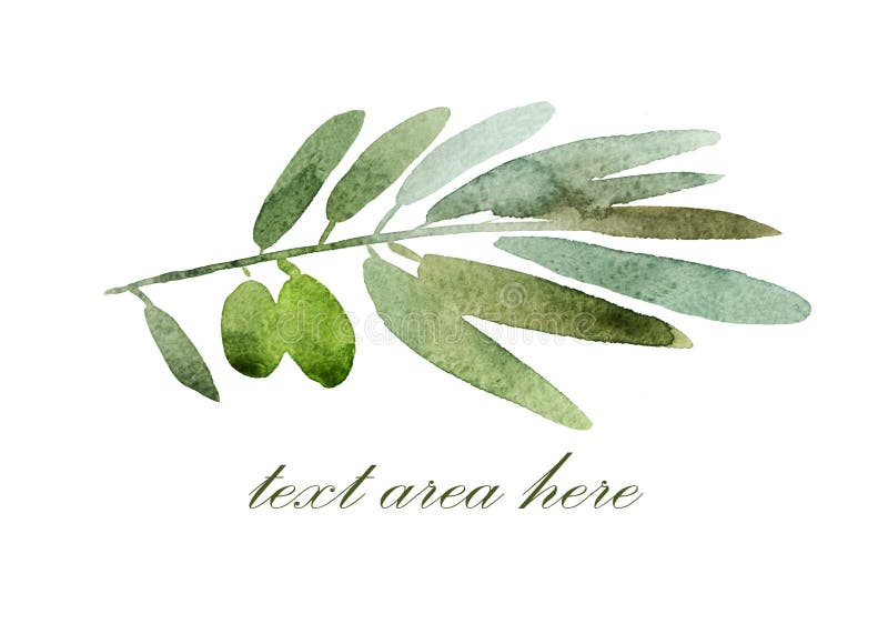 Green olives branch