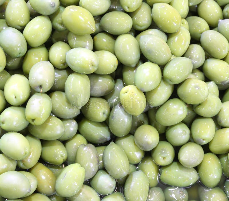 Green Olives Just Harvested Stock Photo Image of calabria, italian
