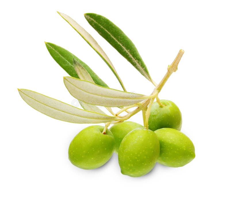 Green olives with leaves stock image. Image of vegetarian 43097869