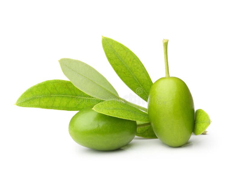 Green olives with leaves stock image. Image of food, berry 97720027