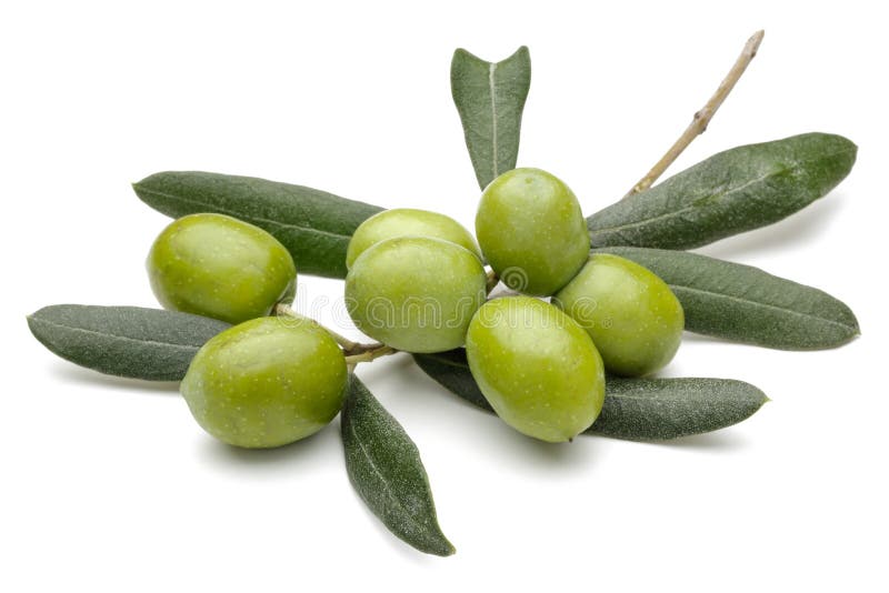 Green olives with leaves isolated on white stock photo