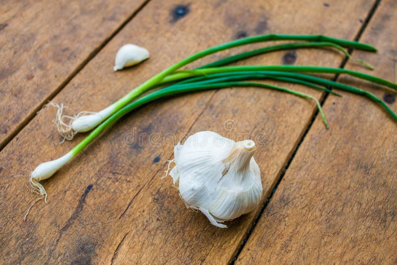Green onion with garlic stock photo. Image of garlic 74907436