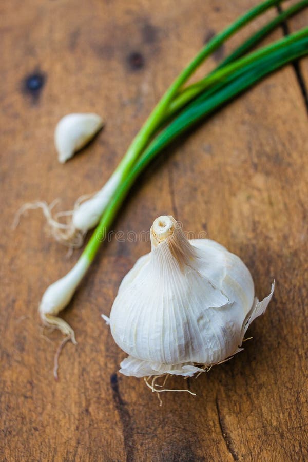 Green onion with garlic stock photo. Image of garlic 74907436