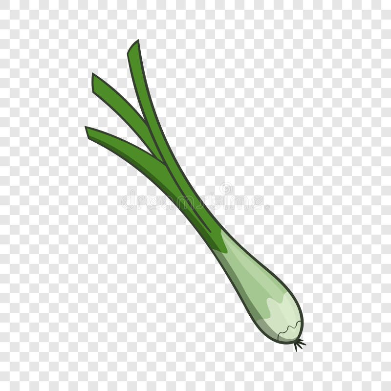 Green Onion Cartoon Stock Illustrations 3,015 Green Onion Cartoon Stock Illustrations, Vectors
