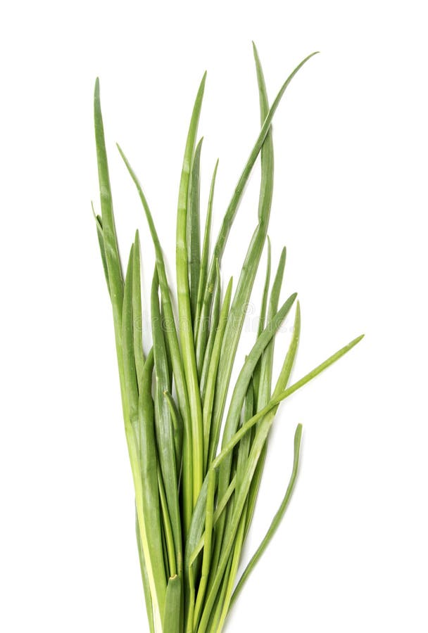 Green onion leaves stock photo. Image of leaf, healthy 187705076
