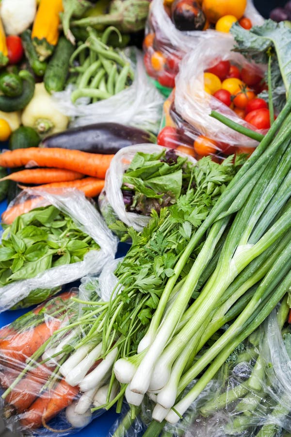 Green Onion with Vegetables Stock Image Image of vegetables, farmer