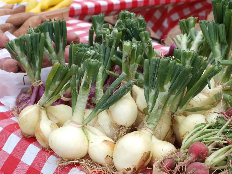 This outdoor farmers market at a facility of several restaurants are sold to customers on their way out after eating in one of the several restaurants in the upper terrace. This outdoor farmers market at a facility of several restaurants are sold to customers on their way out after eating in one of the several restaurants in the upper terrace.