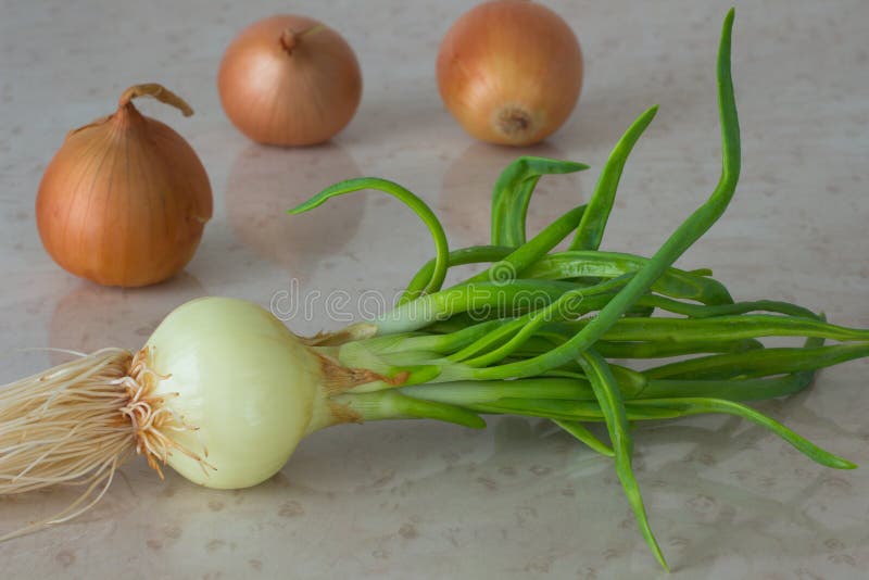 Roots, bulbs & tubers stock image. Image of food, flavor 158823