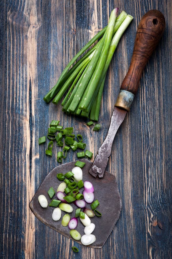 Green onions stock image. Image of green, onions, fresh 41481989