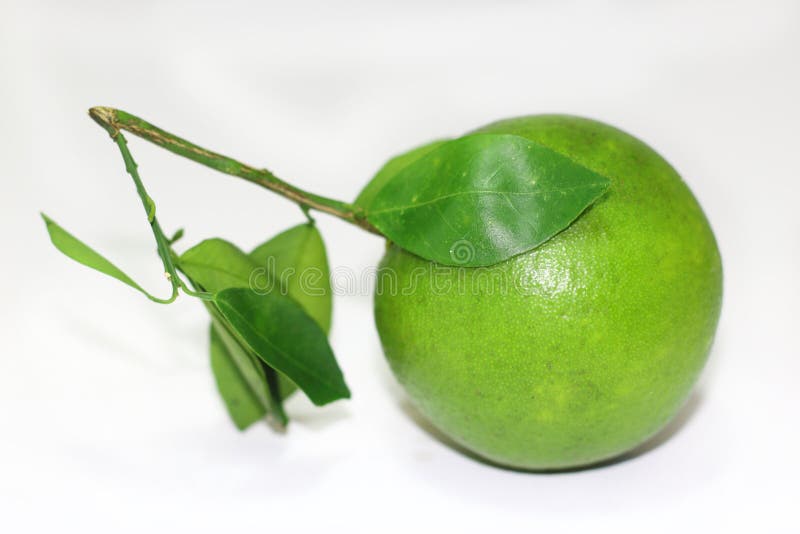 Green orange with leaves stock image. Image of organic 76965711