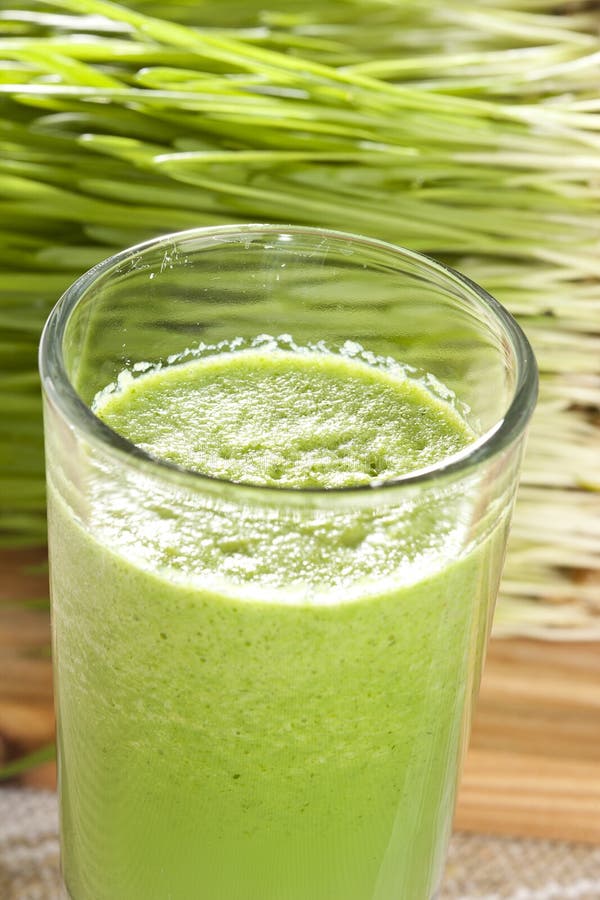 Green Organic Wheat Grass Shot Stock Photo Image of beverage, green