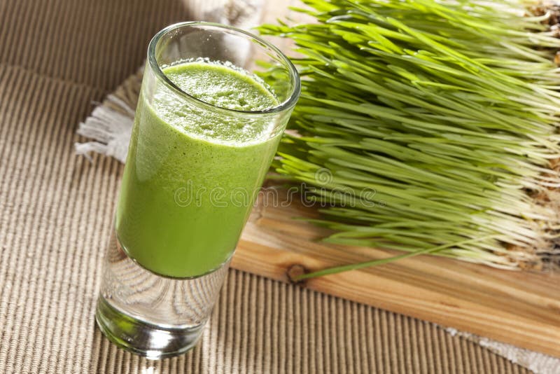 Green Organic Wheat Grass Shot royalty free stock photo Green Organic Wheat Grass Shot royalty free stock photo