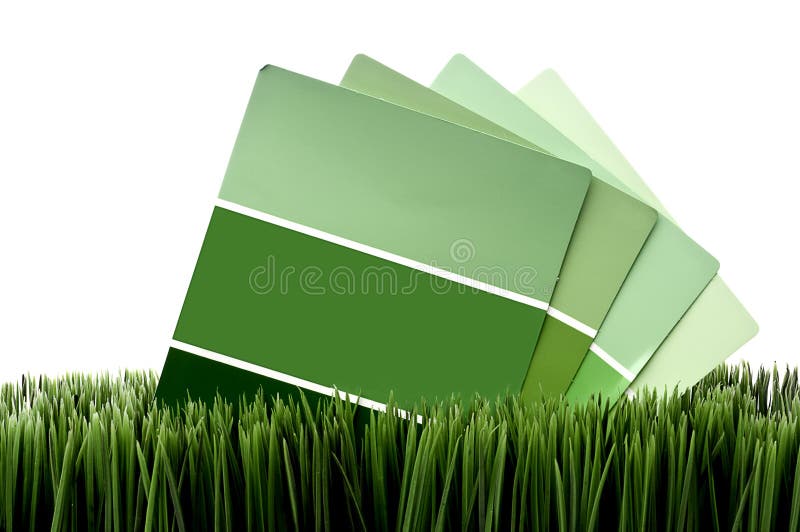 Green paint chip samples on green grass