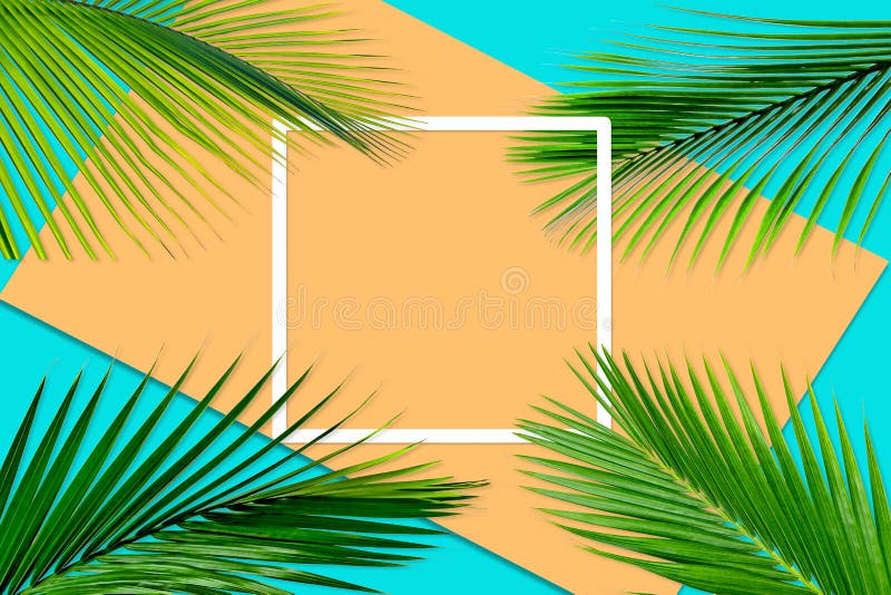 Green Palm Leaves Pattern For Nature Concept,tropical Leaf On Orange ...