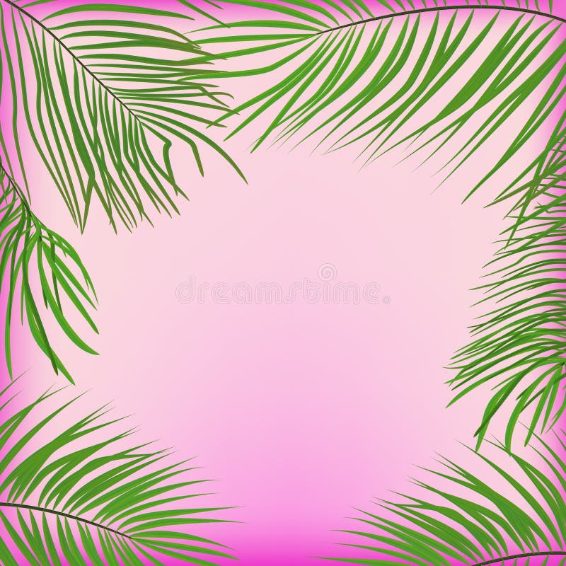 Green Palm Leaves on a Pink Background Stock Vector - Illustration of