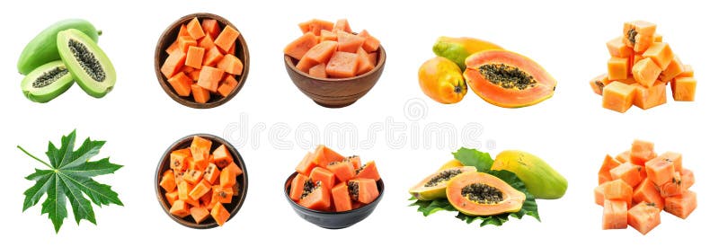 Green papaya isolate on transparency vector illustration