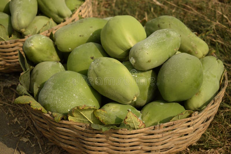 Green Papayas in the Wicker Basket for Sell Stock Image - Image of sell