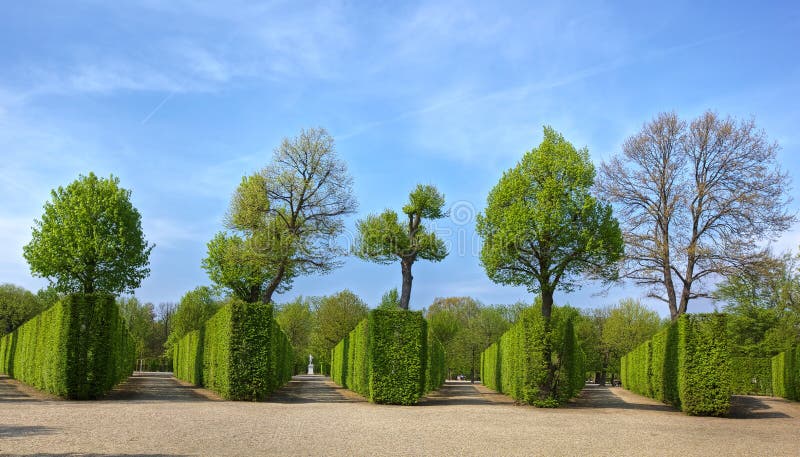 Green park background