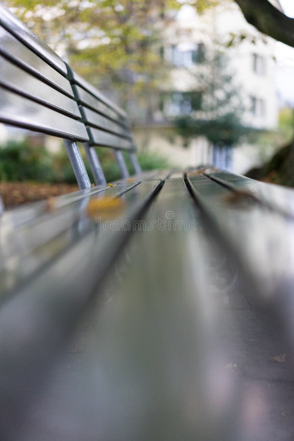 Green wood park bench in autumn fall season