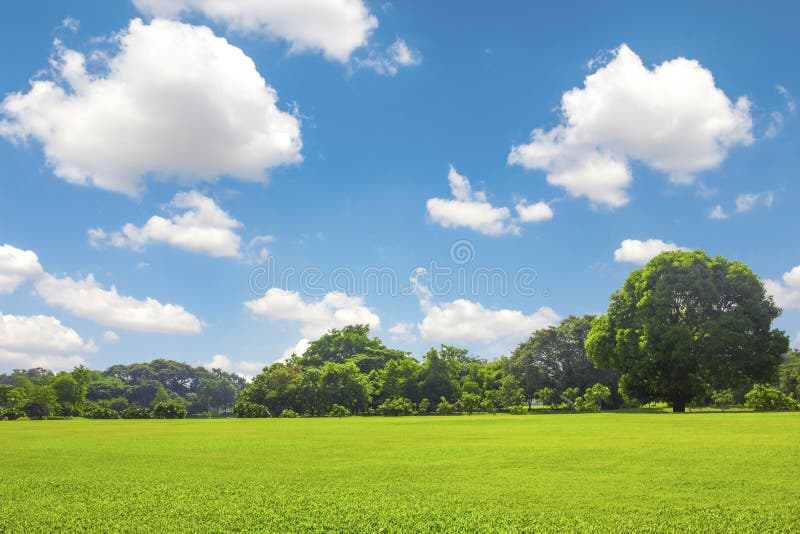4,846,088 Green Park Stock Photos - Free & Royalty-Free Stock Photos from  Dreamstime