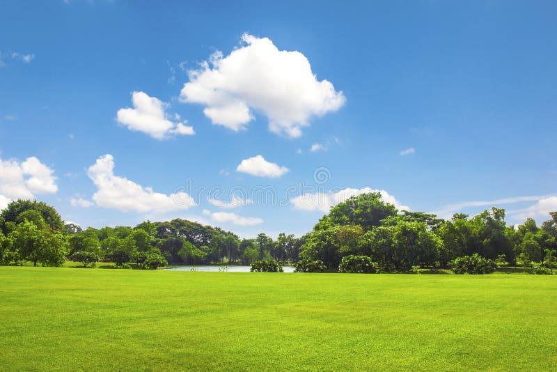 Green Park Outdoor with Blue Sky Cloud Stock Image Image of blue
