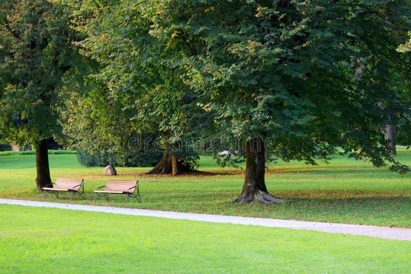 Green park with two benches