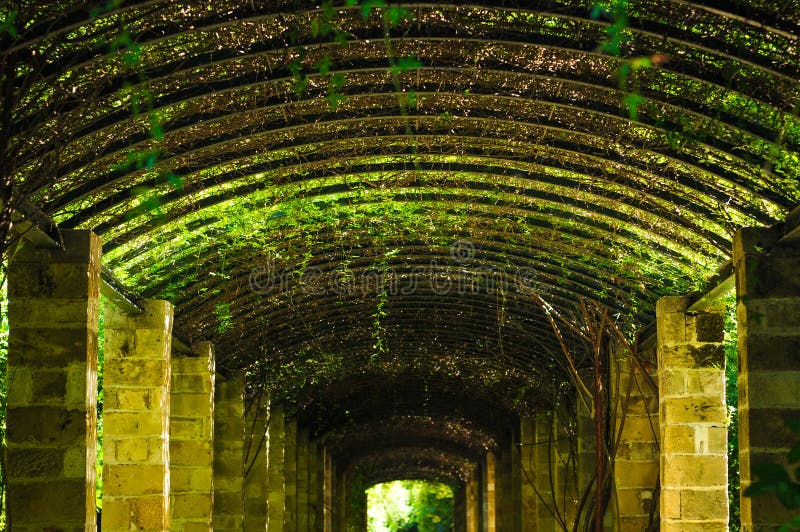 Green passage in Athens, Greece