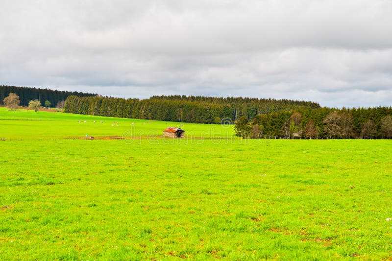 Green Pasture stock photo. Image of clouds, farming, fence 25420444