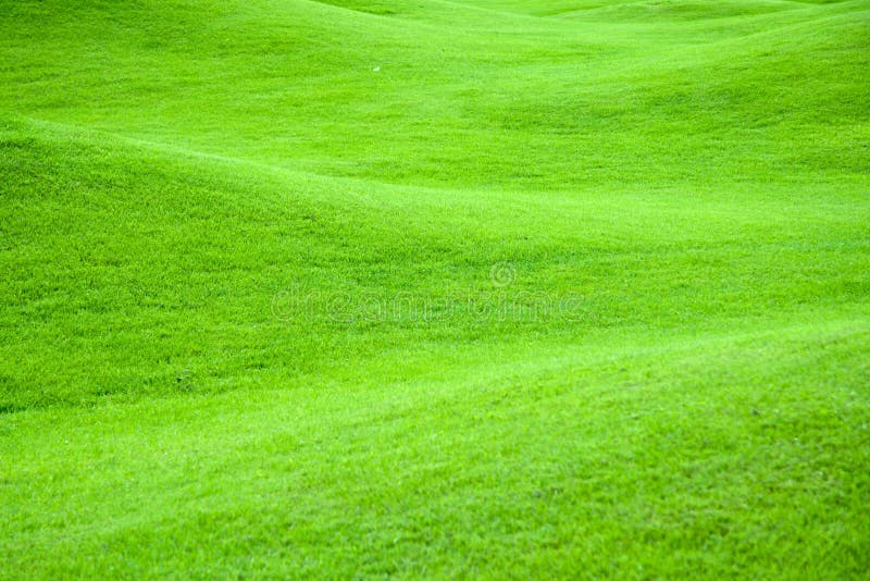 Green pastures 2 stock photo. Image of scene, plant, nature 1927346