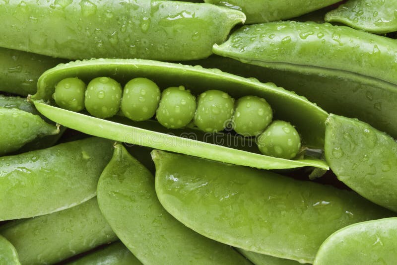 Green Pea