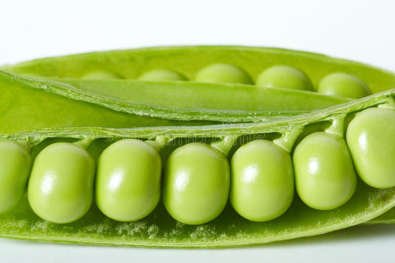 Verde piselli baccelli su bianco.