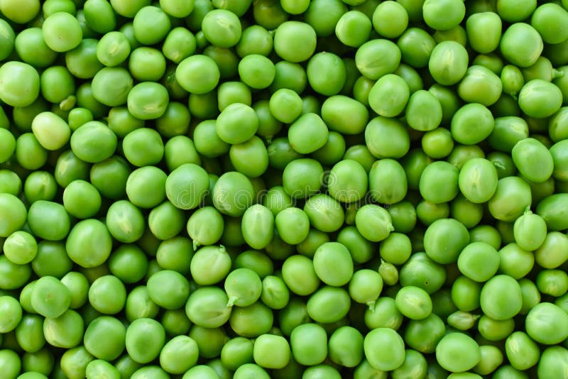 Green pea. Background of green peas. Proper nutrition. The concept of vegetarianism.